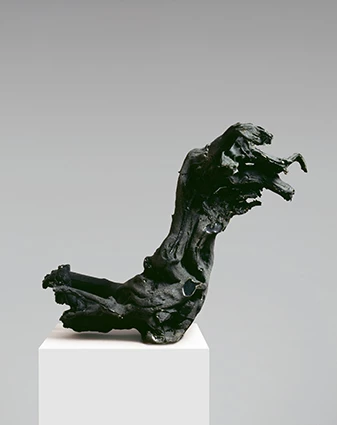 Peter Fischli / David Weiss: Wurzel