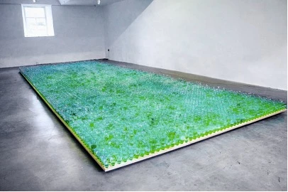 Lungiswa Gqunta: Lawn, 2017/2019,