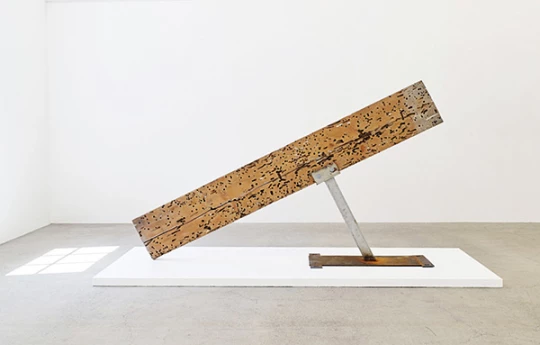 Virginia Overton: Untitled (VO)